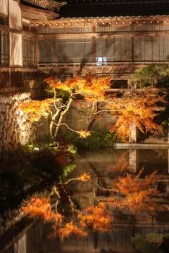 Japanese maple leaf tree and pond in autumn Stock Photos