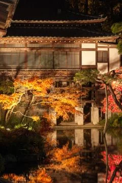 Japanese maple leaf tree and pond in autumn Stock Photos