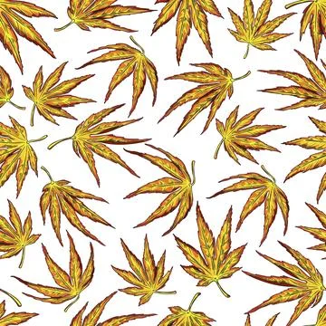 Japanese maple leaves seamless pattern Stock Illustration