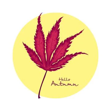 Japanese maple red leaf, vector illustration Stock Illustration