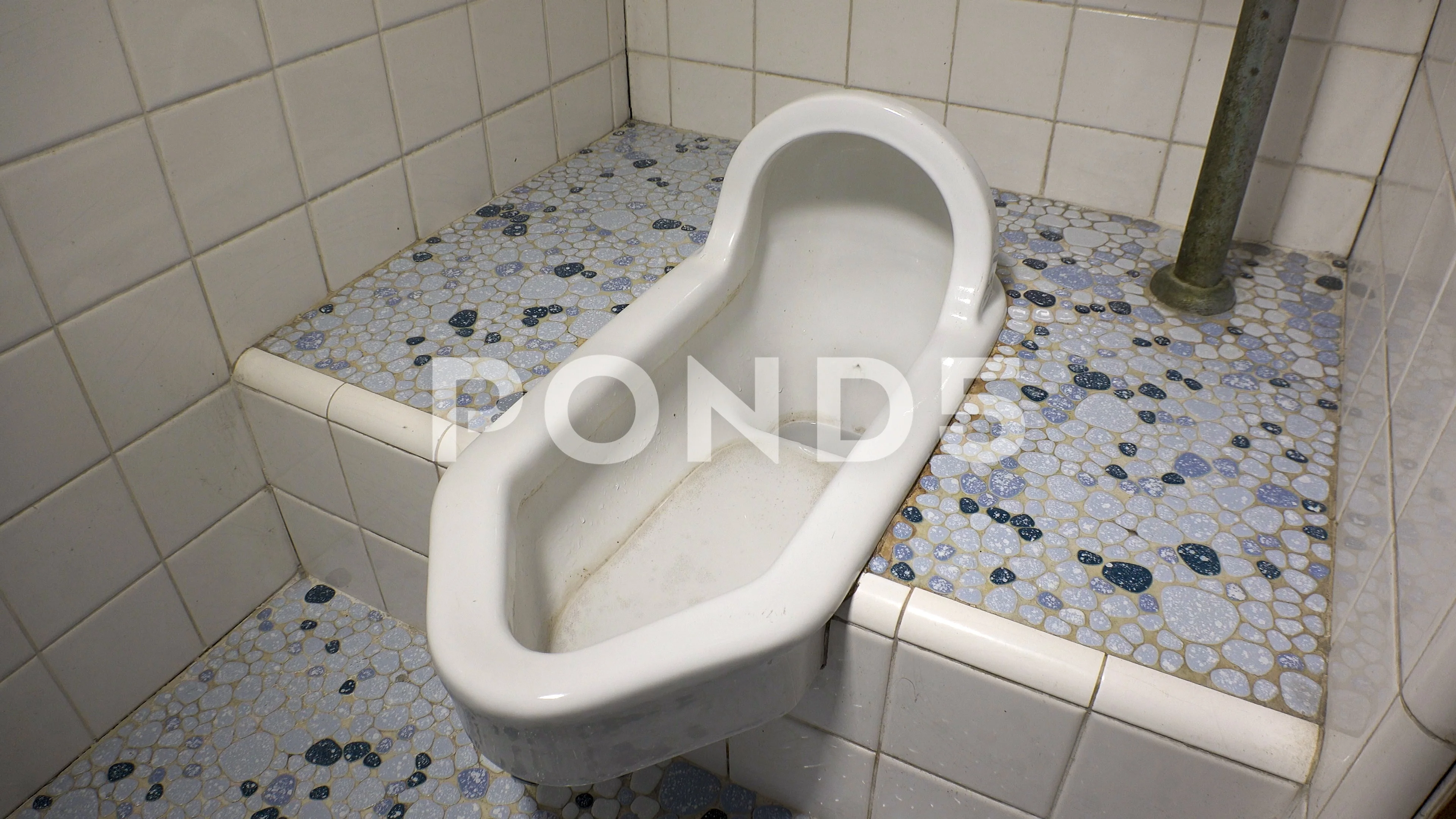 Squat deals toilet japan