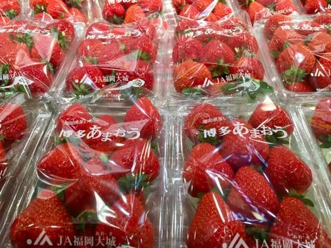 Japanese Packaged Strawberries Stock Photos