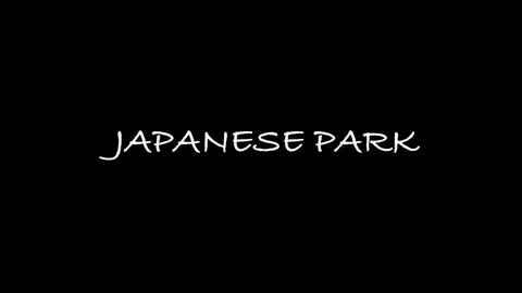 Japanese park Video stock 110913103