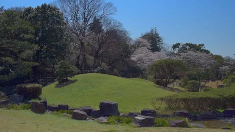 Japanese park Stock Footage 166156849