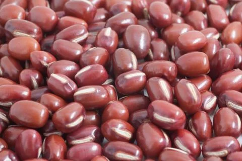 Japanese red beans Stock Photos