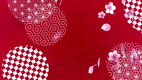 Japanese Red Wagara Background with Sakura Petals | Asian Traditional Design Stock Footage 343140745