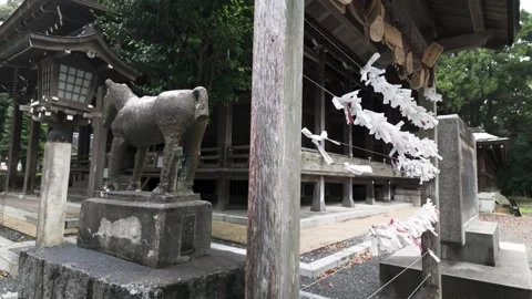 Japanese shrines-1 Stock Footage 335467344