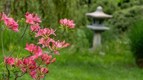 Japanese stone lantern in a lush green garden Stock Photos