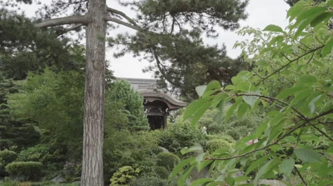 Japanese Structure Botanical Gardens Stock Footage 65494367