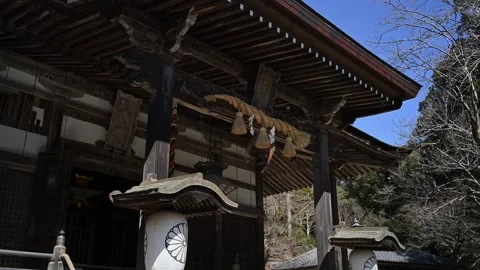Japanese temple architecture in forest setting, traditional wooden shrine i.. Stock Footage 331491584