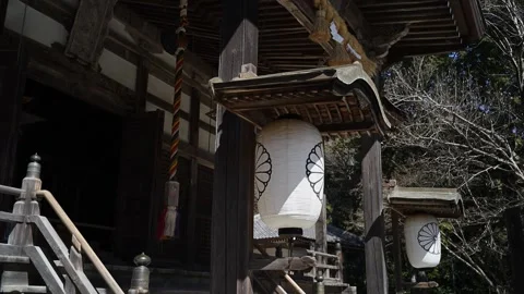Japanese temple architecture in forest setting, traditional wooden shrine i.. Stock Footage 331491595
