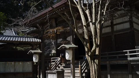 Japanese temple architecture in forest setting, traditional wooden shrine i.. Stock Footage 331491614