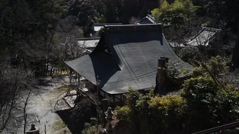 Japanese temple architecture in forest setting, traditional wooden shrine i.. Stock Footage 331491645