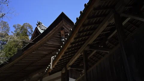 Japanese temple architecture in forest setting, traditional wooden shrine i.. Stock Footage 331491682