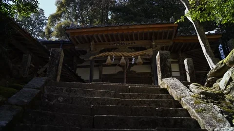 Japanese temple architecture in forest setting, traditional wooden shrine i.. Stock Footage 331491683