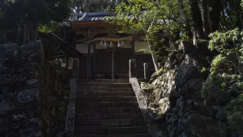 Japanese temple architecture in forest setting, traditional wooden shrine i.. Stock Footage 331491686