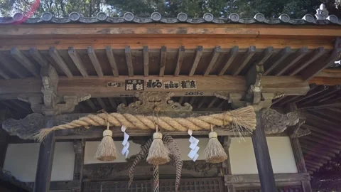 Japanese temple architecture in forest setting, traditional wooden shrine i.. Stock Footage 331491703