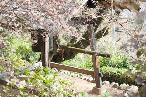 Japanese temple bell Stock Photos