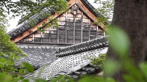 Japanese Temple Closeup Forest Kyoto Stock Footage