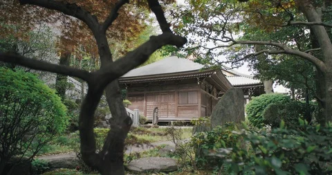Japanese Temple Video stock 107446972