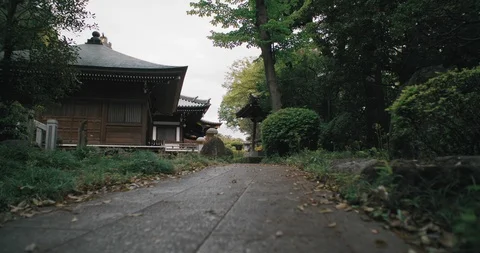 Japanese Temple Stock Footage 107450231