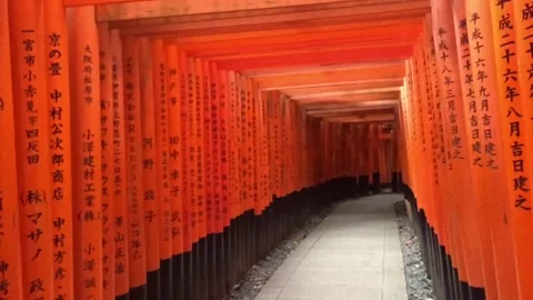 Japanese Temple Stock Footage 145944611