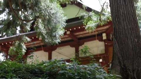 A Japanese temple located deep in the forest of rural Japan. Stock Footage 248267948