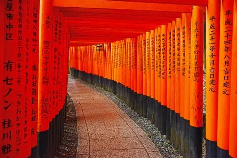 Japanese temple path Stock Photos