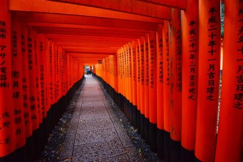 Japanese temple path Stock Photos