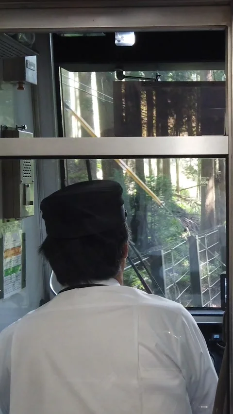 Japanese Train Driver POV Through Forest Railway Near Kyoto, Japan Vertical Stock Footage 336664813