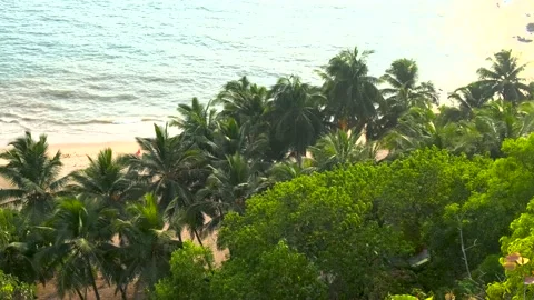 Japnese garden beach 스톡 동영상 186437056