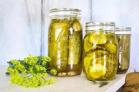 Jar of canned cucumbers Stock Photos