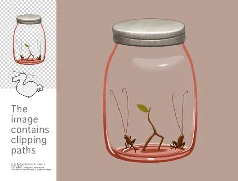 Jar with crickets, Dodo collection Stock Illustration