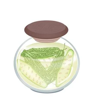 A Jar of Delicious Pickled Bitter Melon Stock Illustration