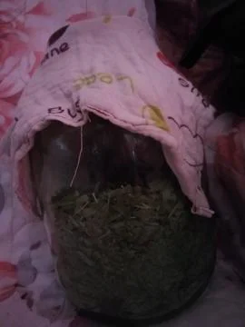 A jar of dried Ivan tea Stock Photos