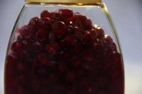 Jar with an elixir or tincture with cranberry berries on a white background, a Stock Photos