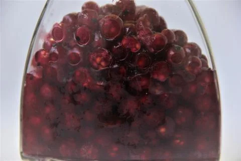 Jar with an elixir or tincture with cranberry berries on a white background, a Stock Photos