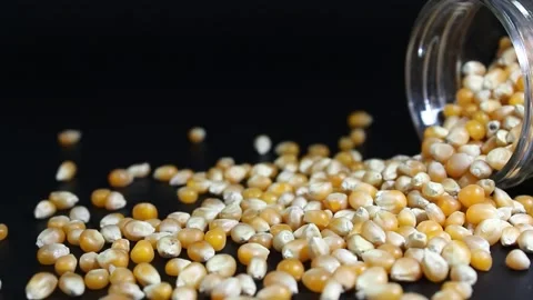 Jar falls and corn grains fall out on black backround, macro Stock Footage 232873233