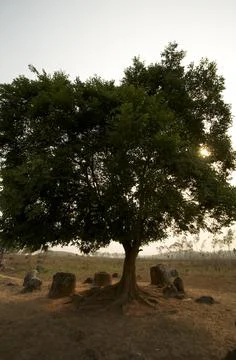 Jar fields 12 Stock Photos