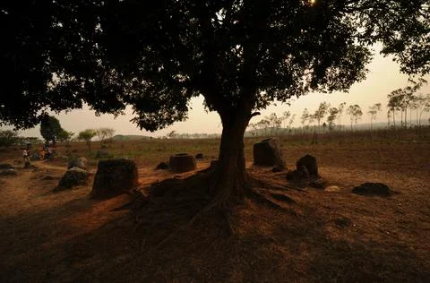 Jar fields 16 Stock Photos