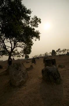 Jar fields 4 스톡 사진