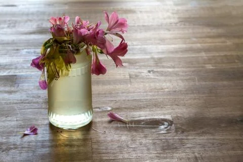 Jar with flowers. Stock Photos