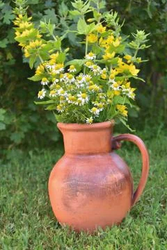 Jar with flowers Stock Photos