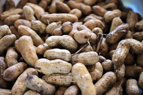 A jar full of cashews 写真素材