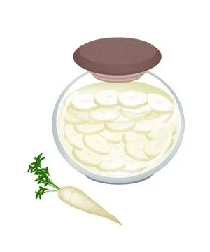 Jar of Pickled Slice White Radish with Malt Vinegar Stock Illustration