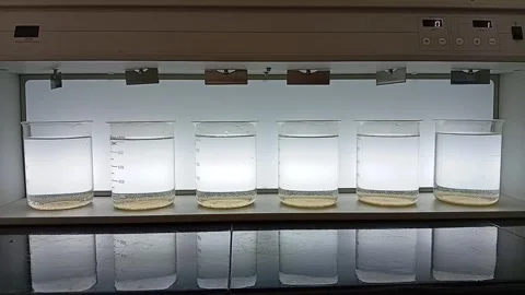 Jar Test Sequence: Final Sedimentation in All Six Jars Видео 333311153