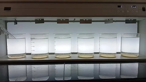 Jar Test Sequence: Sampling Purified Water from Six Jars 動画素材 333311160