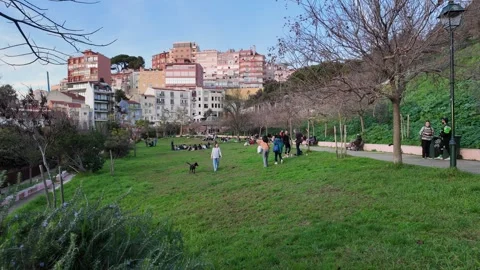Jardim da Cerca da Graça is a park located in the Graça area of Lisbon Stock Footage 297635805