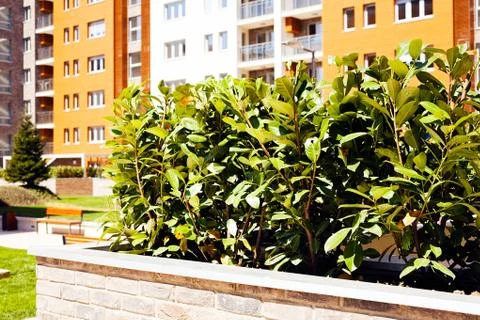 Jardiniere of bricks Stock Photos