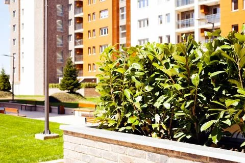 Jardiniere of bricks Stock Photos